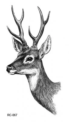 R&aring;djur